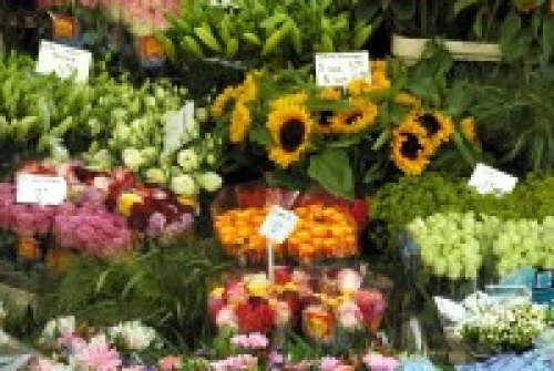 Huissen: Bloemenmarkt