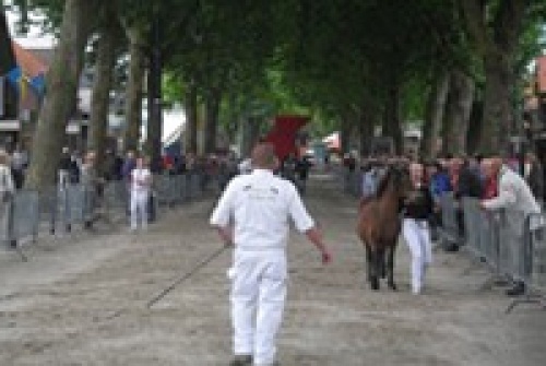 Kermis & Paarden- en Ponykeuring Gendt